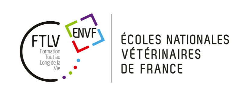 logo FTLV ENVF